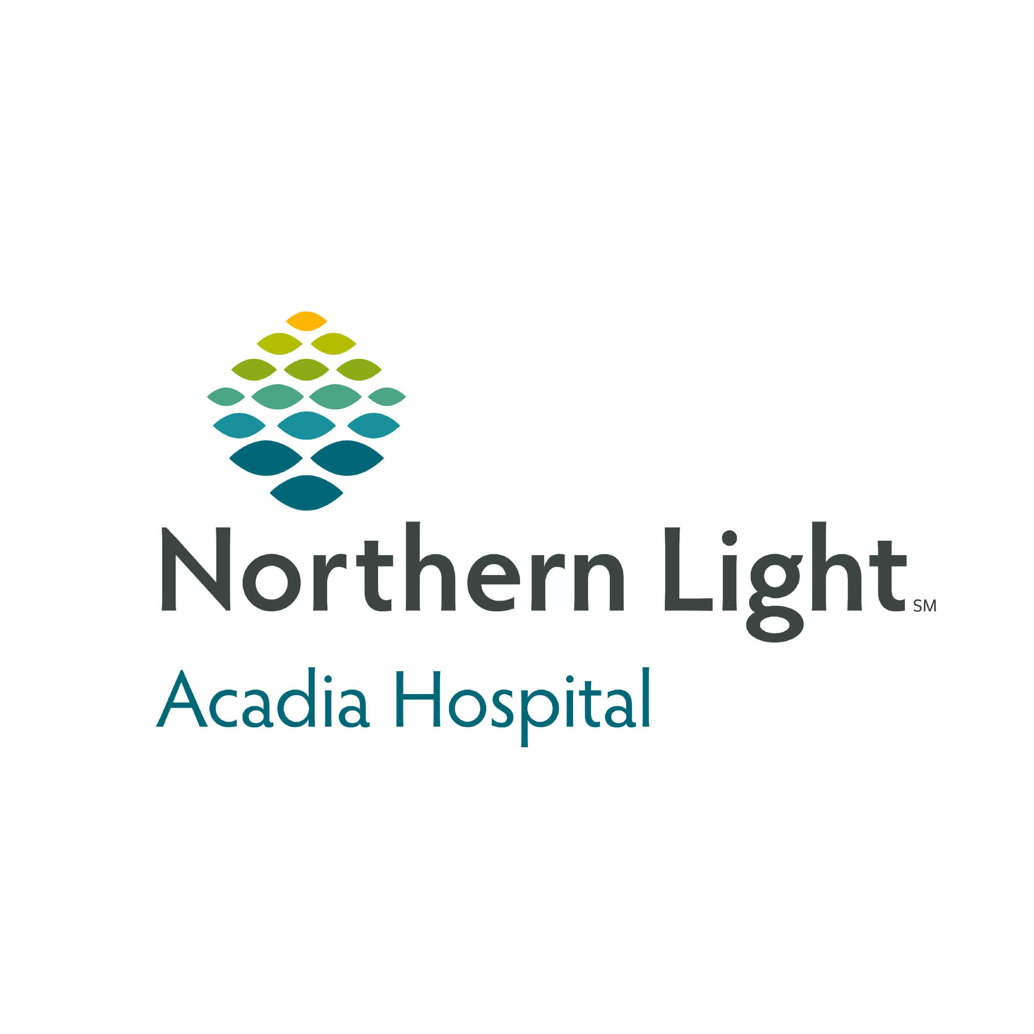 Northern Light Acadia Hospital