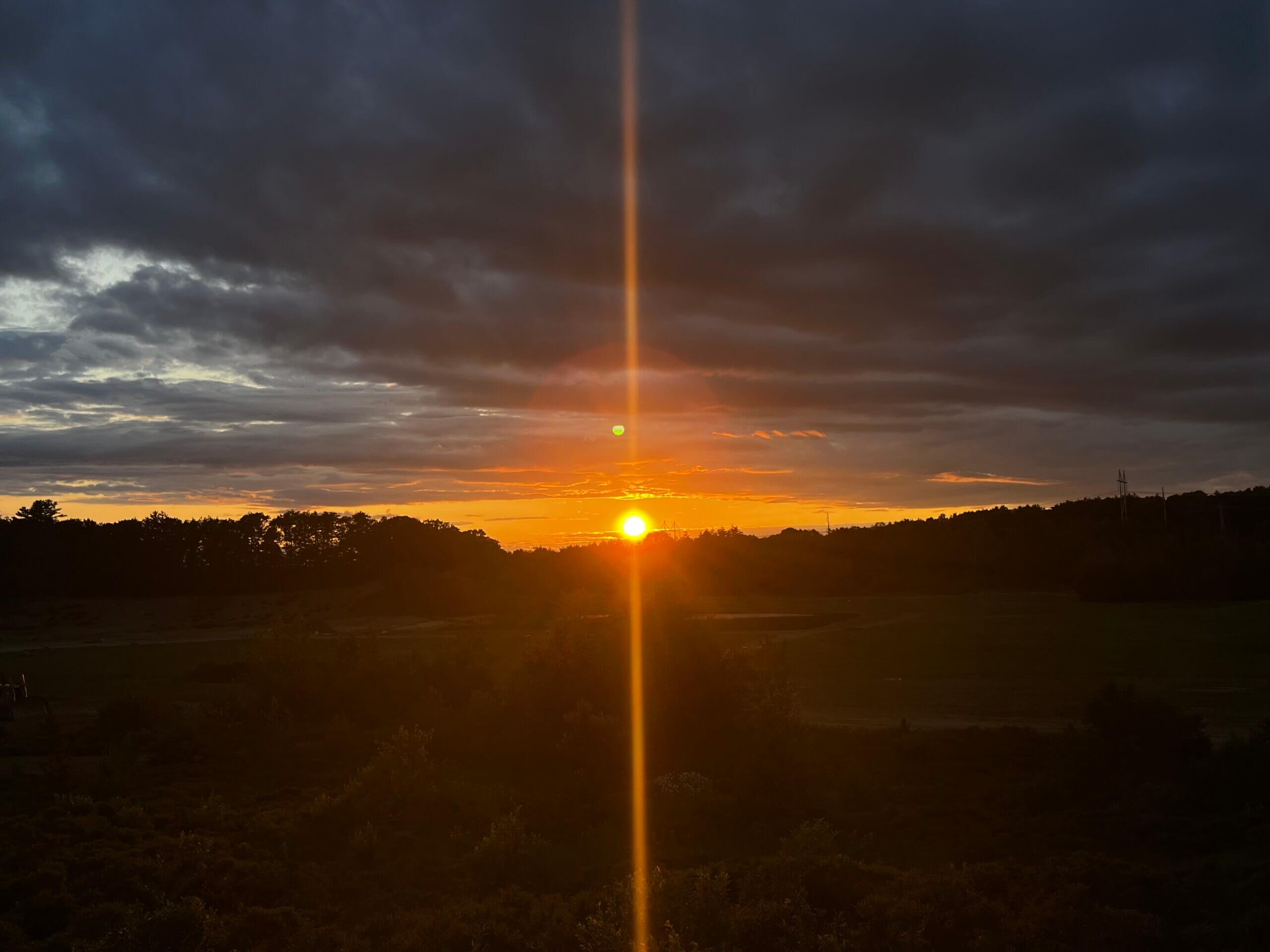 Sunset beam across a wooded background and open-field foreground